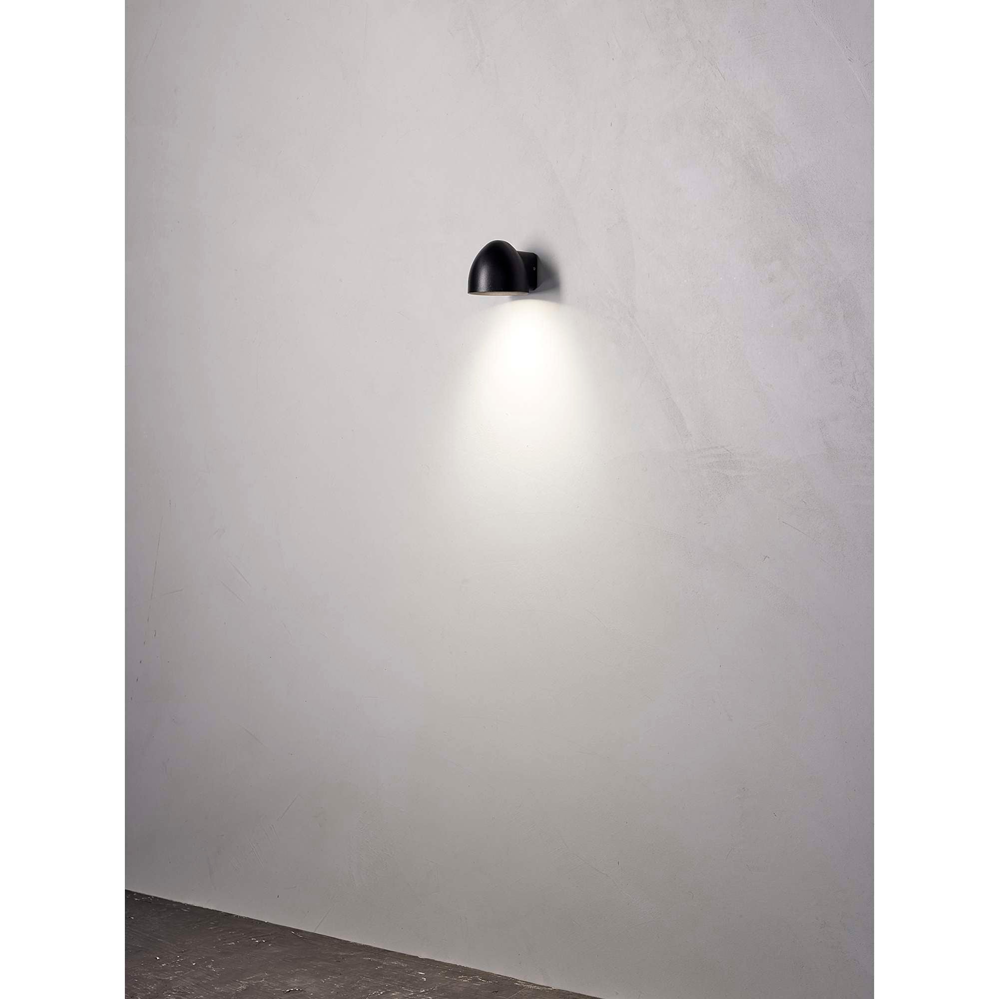 Birk Udendørs væglampe Sort Downlight